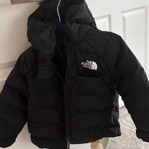 The North Face Black Hooded Jacket
